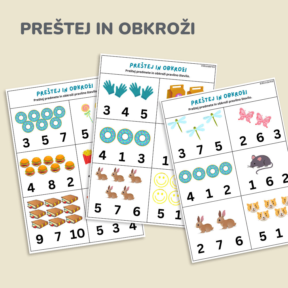 Spoznavanje števil