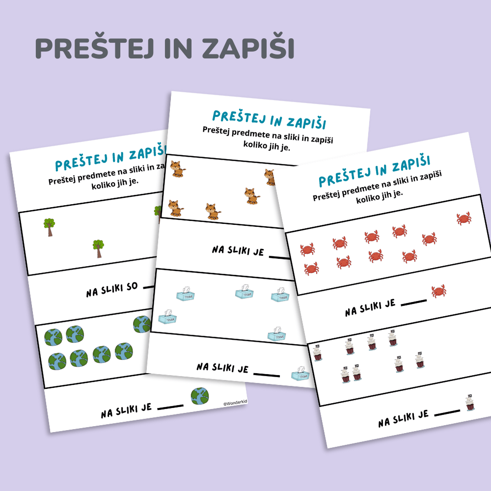 Spoznavanje števil
