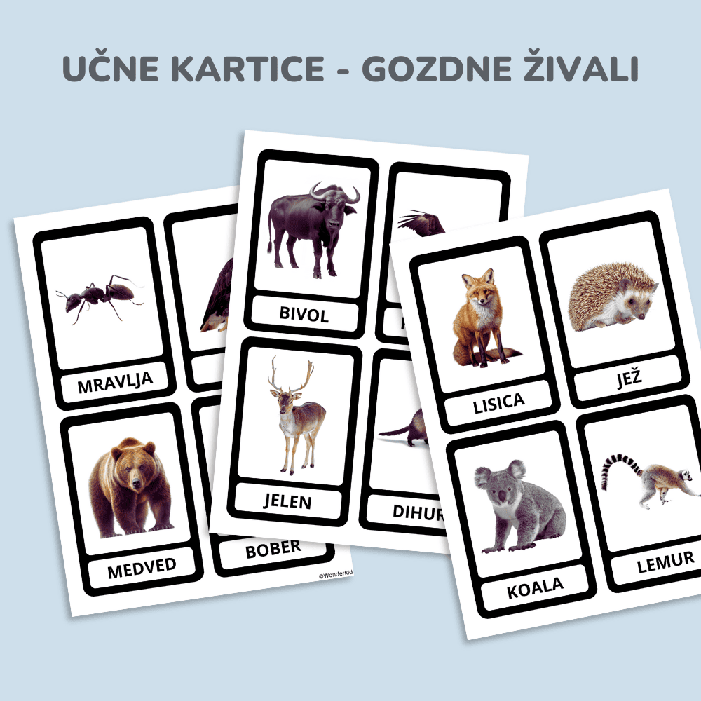 Spoznavanje živali