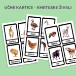 Spoznavanje živali