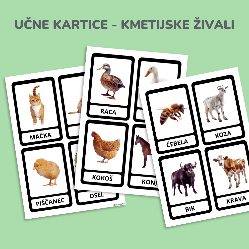 Spoznavanje živali