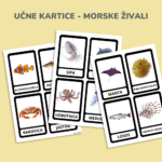 Spoznavanje živali