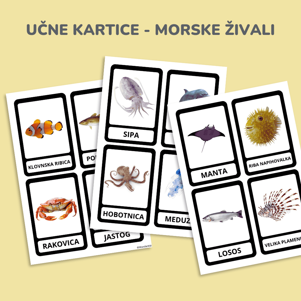 Spoznavanje živali