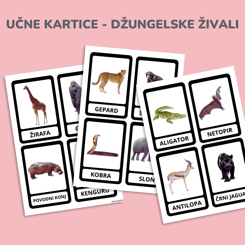 Spoznavanje živali