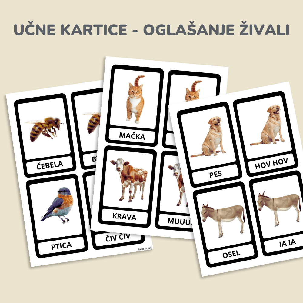 Spoznavanje živali