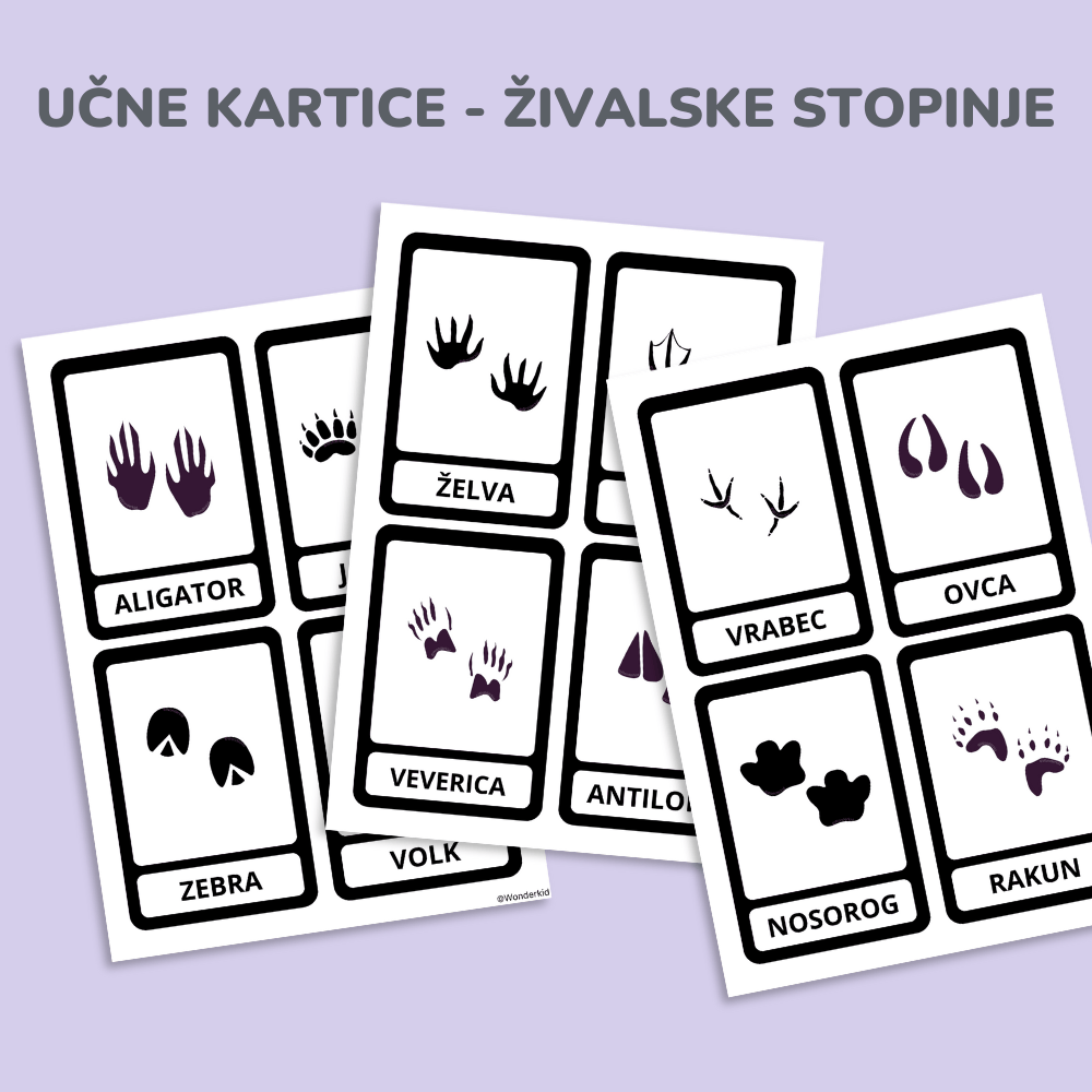 Spoznavanje živali